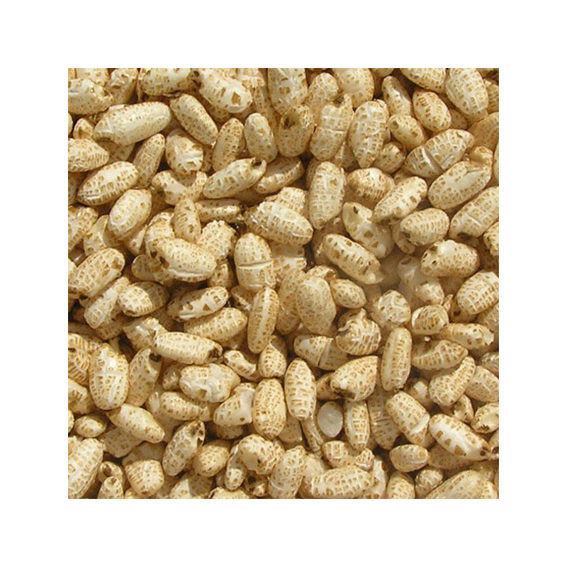 Puffed Brown Rice for small pets – Natural Crunchy Treat | small sprouts co