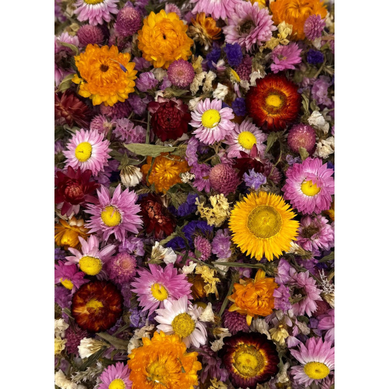 Garden Harmony Floral Forage Mix Small Animals