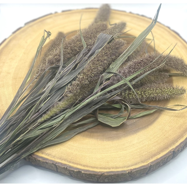 Dark Brown Foxtail Millet Spray 2