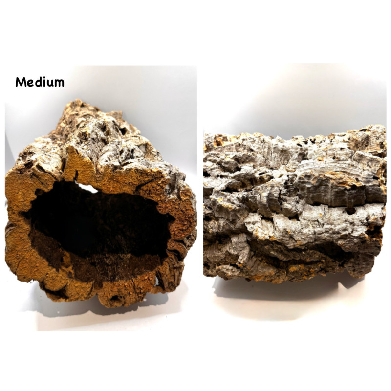 Natural Cork Tunnel for Small Pets | Hide, Explore & Forage Zoo Med