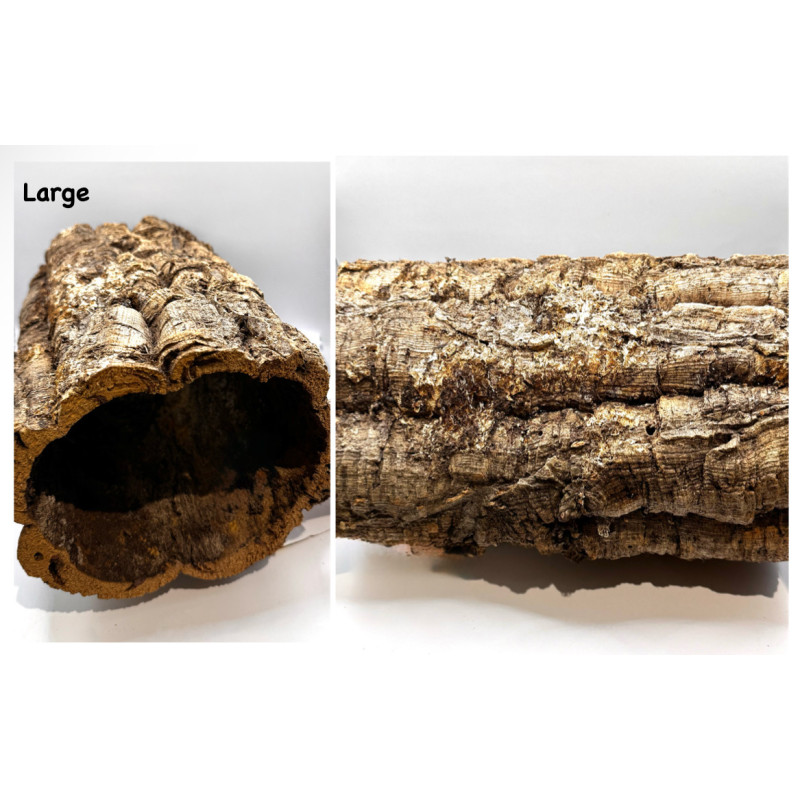 Natural Cork Tunnel for Small Pets | Hide, Explore & Forage Zoo Med