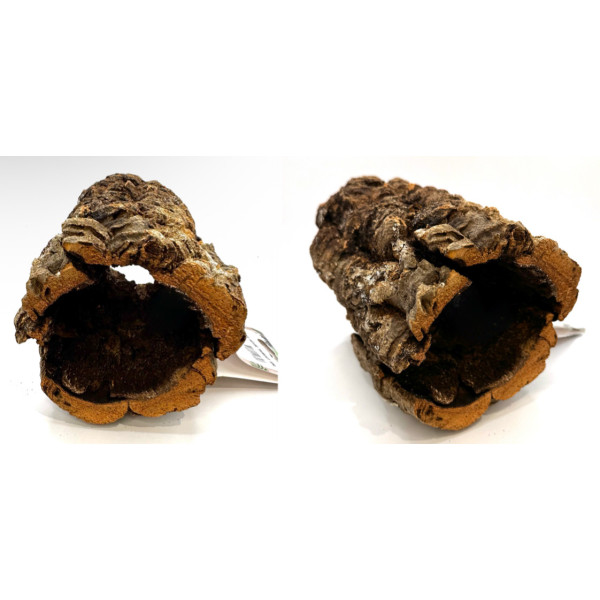 Natural Cork Tunnel for Small Pets | Hide, Explore & Forage Zoo Med