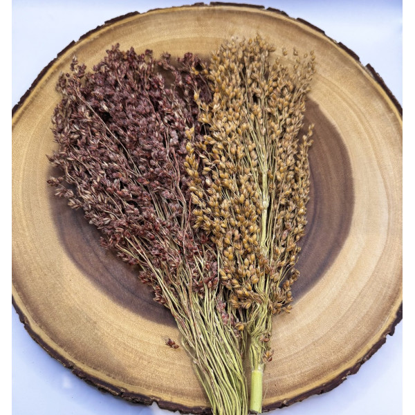 Broom Millet Sprays for Hamsters, Birds, Mice & Gerbils – Natural Foraging Enrichment 2