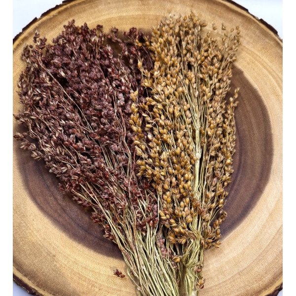 Broom Millet Sprays for Hamsters, Birds, Mice & Gerbils – Natural Foraging Enrichment