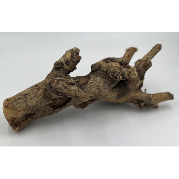 Natural Mulberry Branch for Small Pet Enclosures | Habitat Décor & Enrichment 2