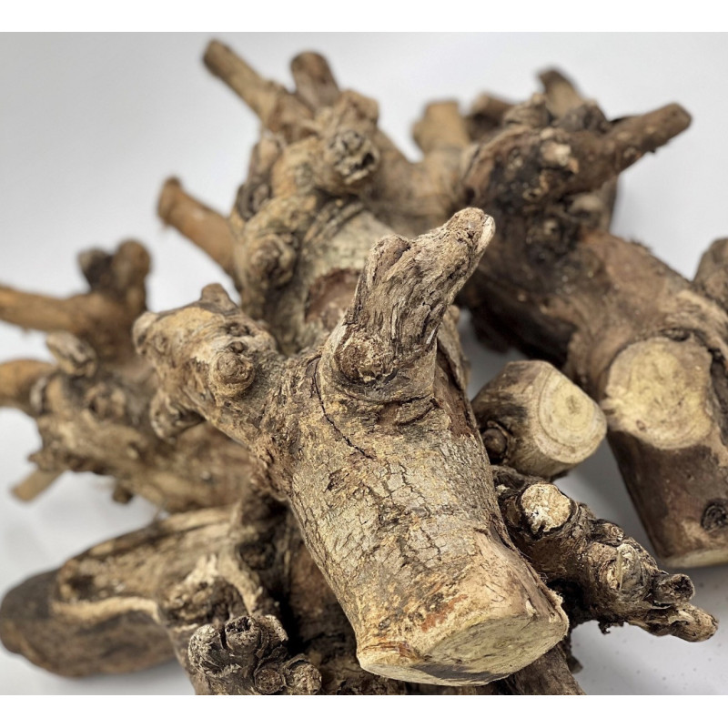 Natural Mulberry Branch for Small Pet Enclosures | Habitat Décor & Enrichment