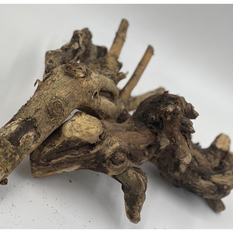 Natural Mulberry Branch for Small Pet Enclosures | Habitat Décor & Enrichment