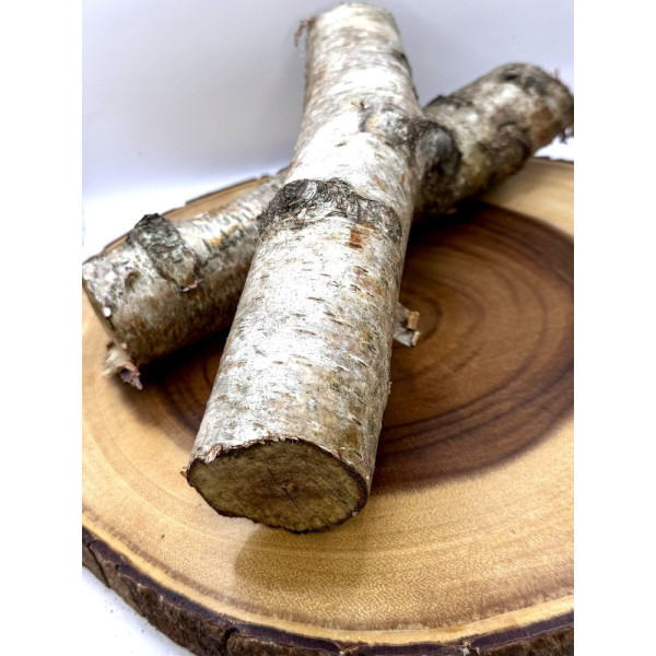 Natural Birch Log for Small Pet Enclosures | Habitat Décor & Enrichment