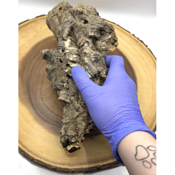 Natural Cork Bark Flat Piece for Hamsters – Small Animal Climbing & Hide Bark 2