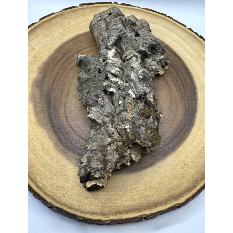 Natural Cork Bark Flat Piece for Hamsters – Small Animal Climbing & Hide Bark