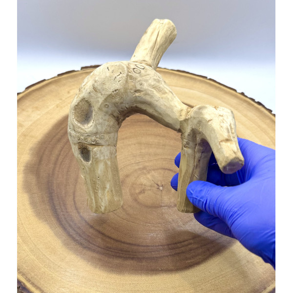 Natural Bamboo Root for Small Pet Enclosures | Habitat Décor & Enrichment 2