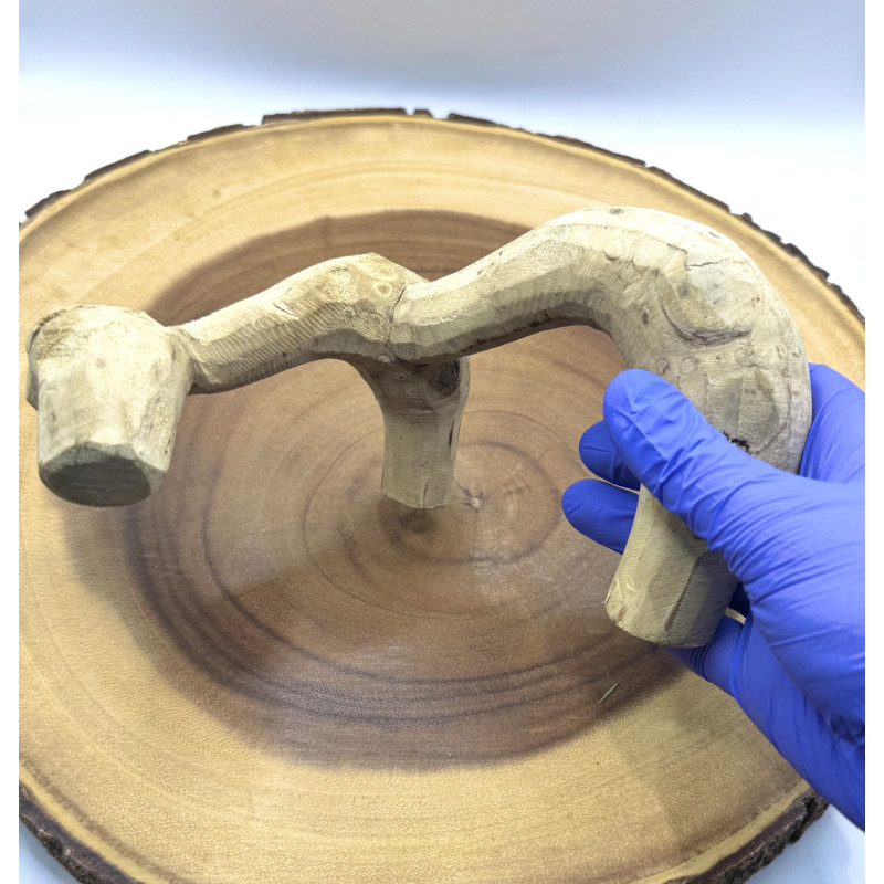 Natural Bamboo Root for Small Pet Enclosures | Habitat Décor & Enrichment