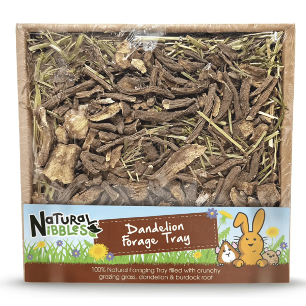 natural nibbles dandelion forage tray 2