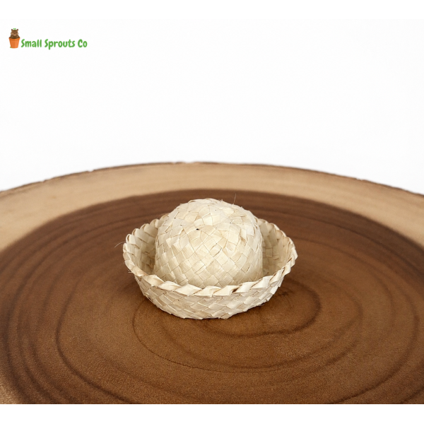 Palm Leaf Flower Chew for Small Pets | Natural Enrichment Toy