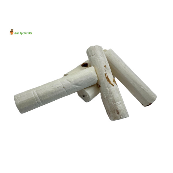 Sola Wood Chew
