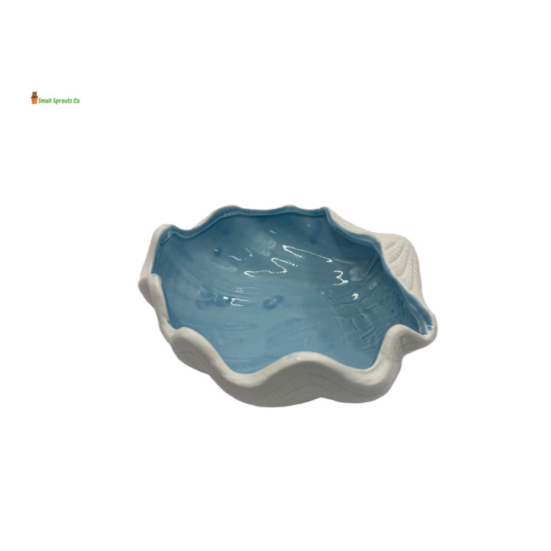 Shell Shape Substrate Bowl