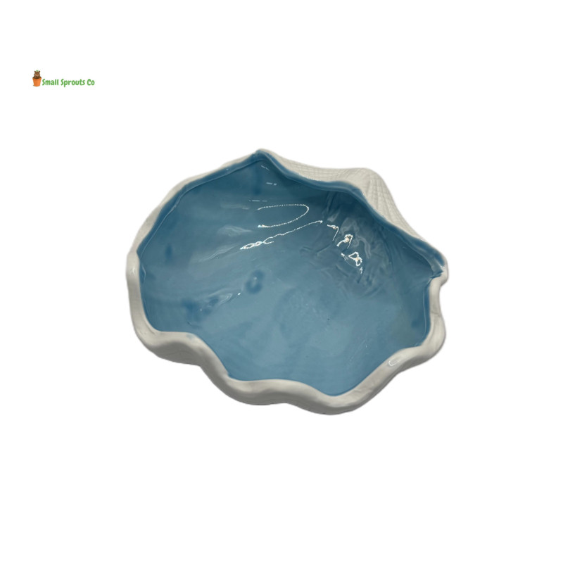Shell Shape Substrate Bowl