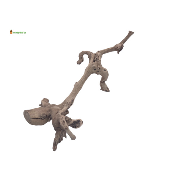 Sandblasted Grapevine Branch 2