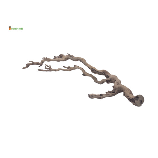 Sandblasted Grapevine Branch