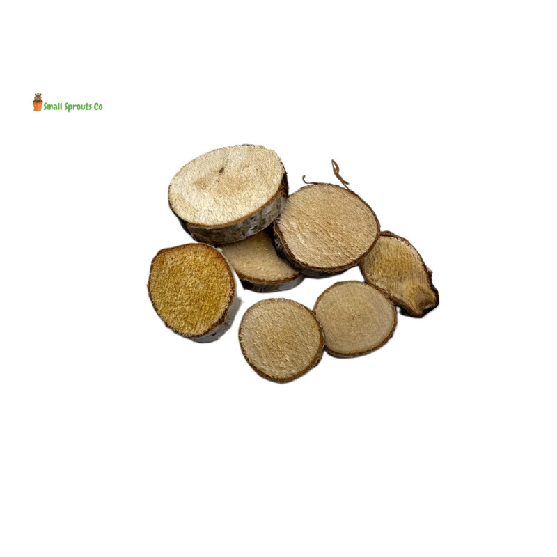 Natural Birch Branch Small Circles