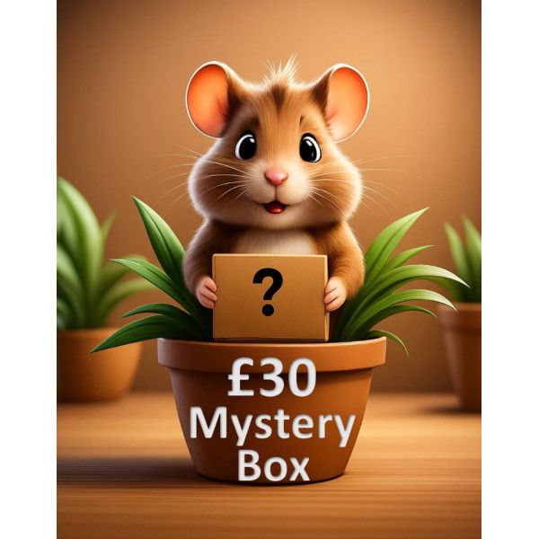 £30 Small Animals Mystery Box