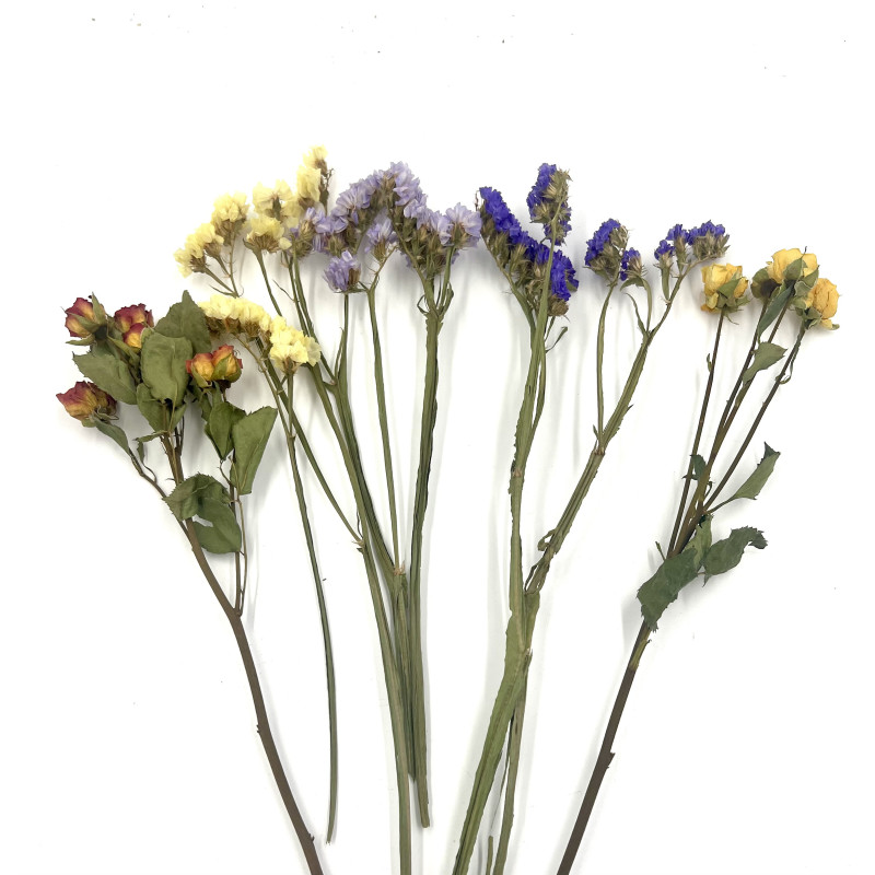 Fairy Garden Spray Bundle | Statice & Roses for Hamsters & Small Pets