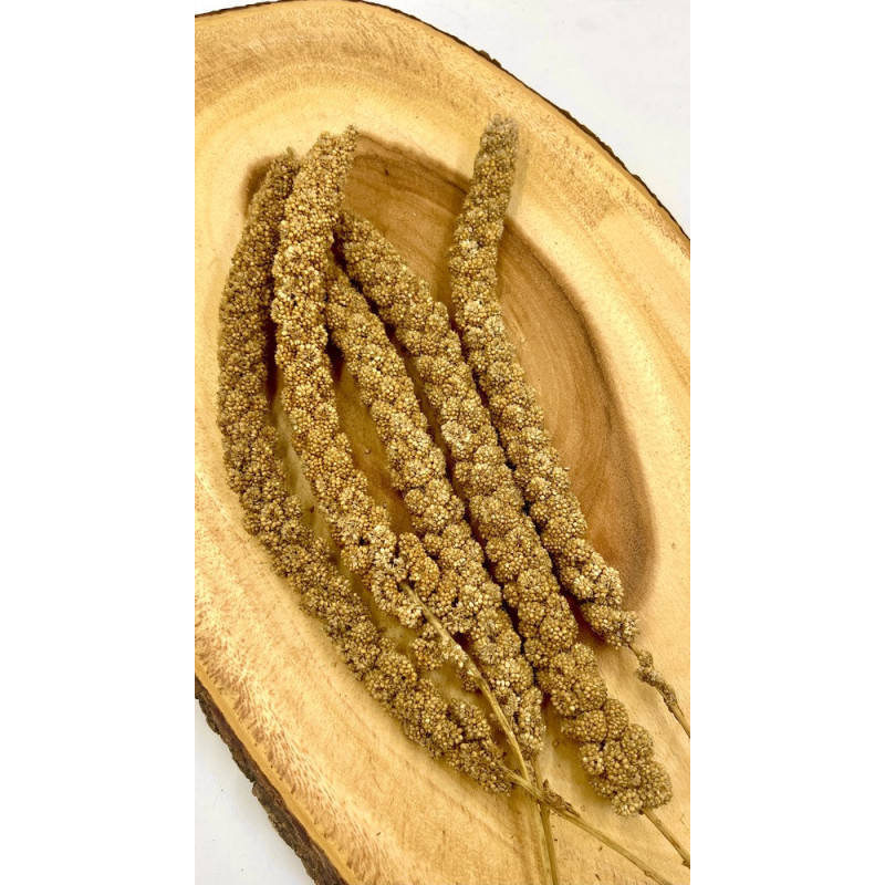 Yellow Millet Sprays