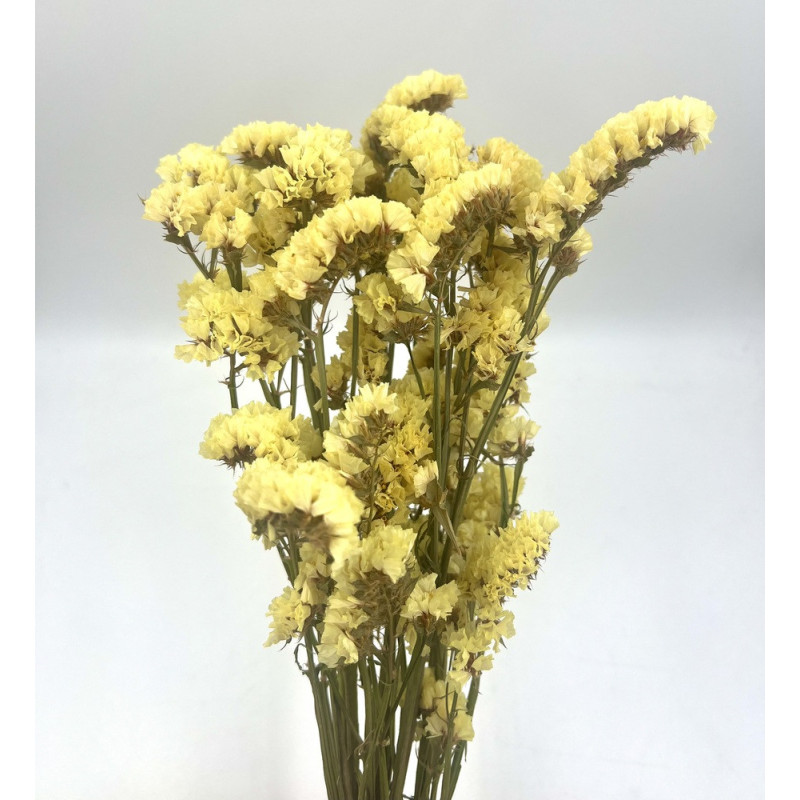 Yellow Statice Floral Spray