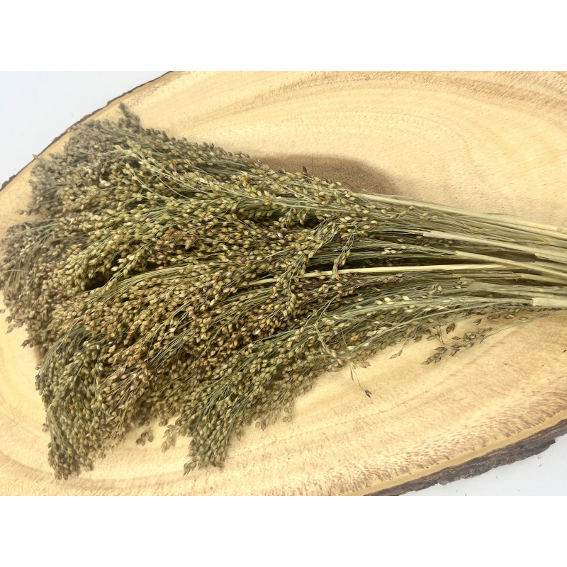 Panicle Millet Sprays Small Animals and Birds