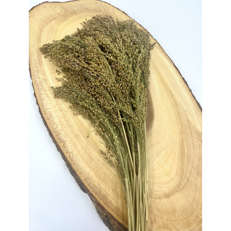 Panicle Millet Sprays Small Animals and Birds