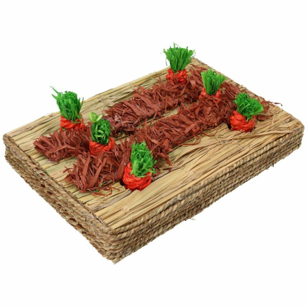 Rosewood Carrot Play Patch for Rabbits and Guineapigs