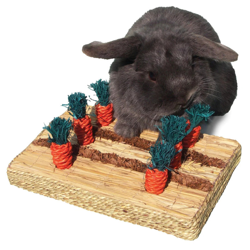 Rosewood Carrot Play Patch for Rabbits and Guineapigs