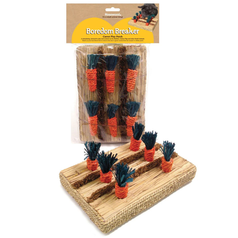 Rosewood Carrot Play Patch for Rabbits and Guineapigs
