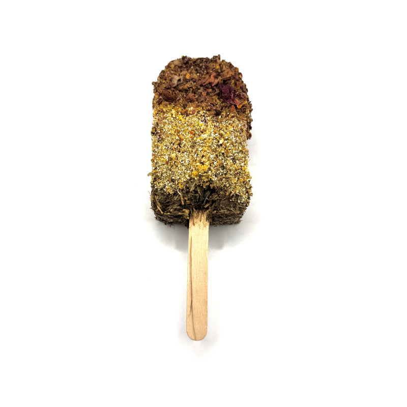 Rosewood Naturals Rose ’N’ Herb Ice Lolly – 45 g Hay & Herb Treat on Wooden Stick