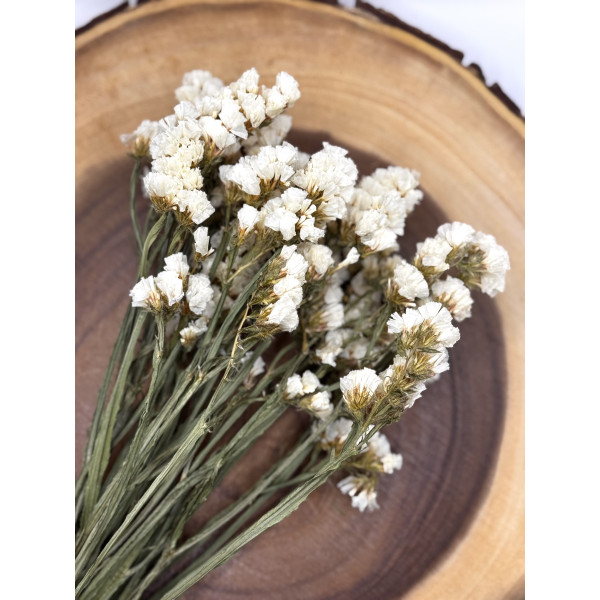 White Statice Flower Forage For Small Animals