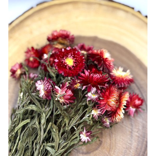 Red Strawflowers Flower Forage For Small Animals