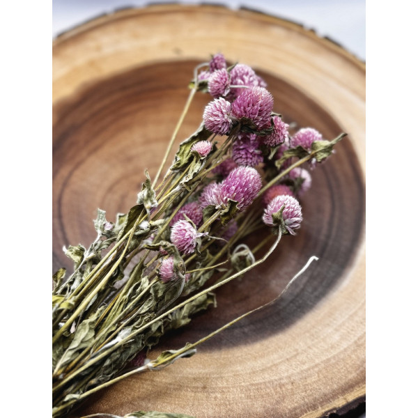 Pink Globe Amaranth Flower For Small Animals